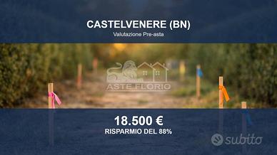 Immobile in asta di 6045 m² a Castelvenere