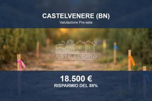 Immobile in asta di 6045 m² a Castelvenere