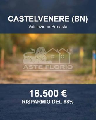Immobile in asta di 6045 m² a Castelvenere