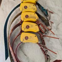 radiocollari tracker 