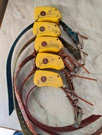 radiocollari tracker 