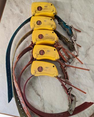 radiocollari tracker 