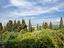 Immagine 25