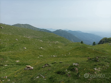 Vendita quote alpe di giaveno superiore e inferior