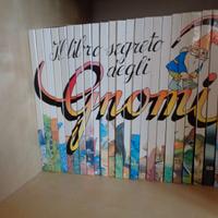 il libro segreto degli gnomi
