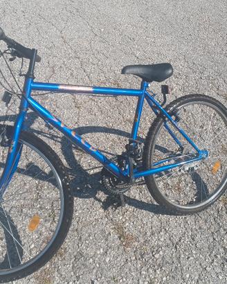 bici mountain bike 2 