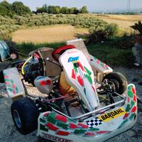 Tony kart 125 kz