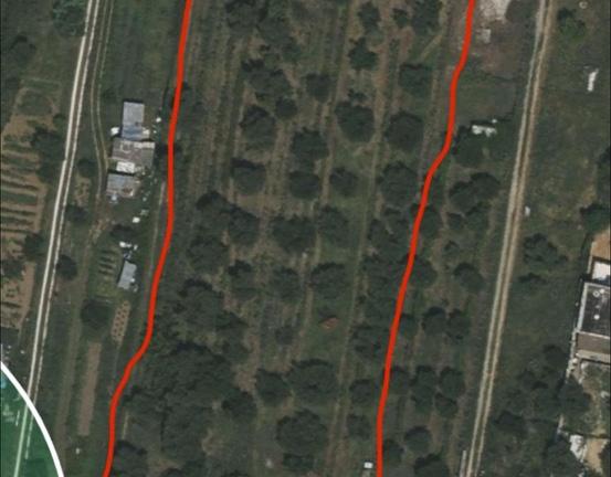 Terreno agricolo con oliveto e vigneto