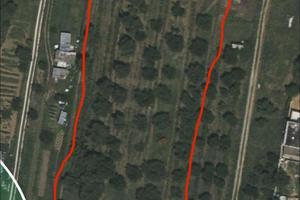 Terreno agricolo con oliveto e vigneto