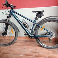 mountain bike Bergamont Revox 5