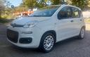 fiat-panda-1-2-cv69-euro6d-2019-adatta-a-neopatent