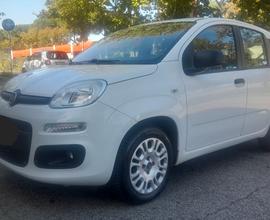 Fiat panda 1.2 CV69 euro6D 2019 Adatta a neopatent