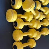 Pesi per palestra