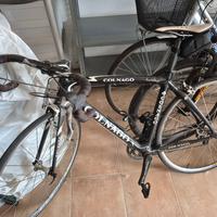 colnago