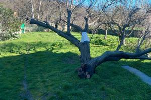 Villa singola con tre appartamenti zona lenza