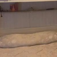 Spalliera e pediera letto matrimoniale