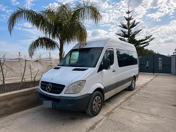 Bus Pulmino Mercedes Sprinter 9 posti Tetto Alto