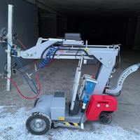 Gru sollevatore movimentazione vetri elettrico