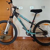 MTB Brumotti by Bianchi