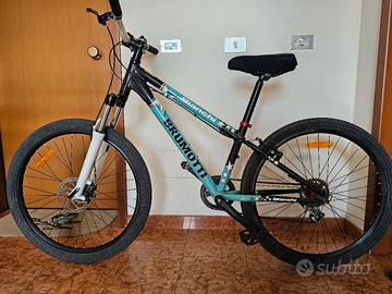 MTB Brumotti by Bianchi