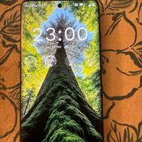 Motorola erge 60 fusion