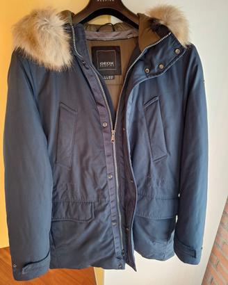 GEOX Parka Norwolk M9428F T2451 F4386 uomo.