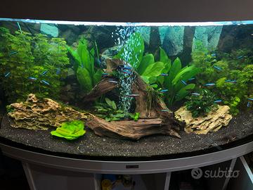 Acquario Juwel 180 Vision + accessori