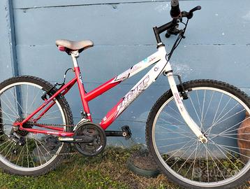 Bici MTB per ragazzo 24