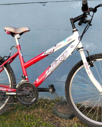 Bici MTB per ragazzo 24