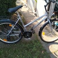 bicicletta