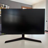 LG monitor 27 pollici PC