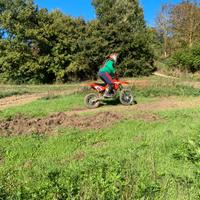 Mini cross beta