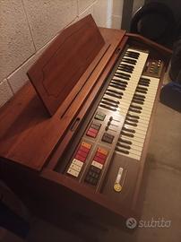 organo elettrico 