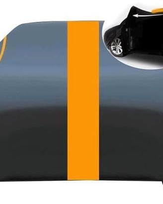 TELO ANTIGRANDINE AUTO NISSAN QASHQAI