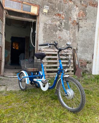 Bicicletta a 3 ruote elettrica