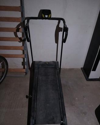palestra