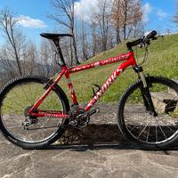 Mountain Specialized S-Works