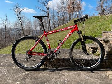 Mountain Specialized S-Works