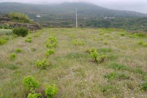 Terreno a Pantelleria in localita' kamma fuori