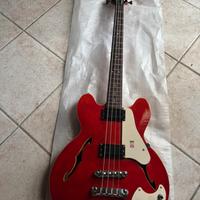 Basso Elettrico Acustico