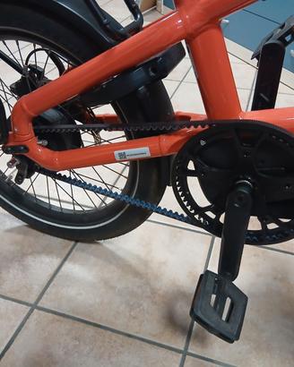 Cargo e-bike