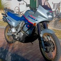 Honda XL 600 V Transalp - 1999