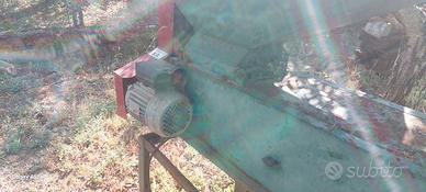 Torchi e pigiatrice
