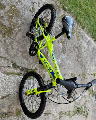 Atala snipper 20