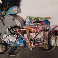bici Pinarello 