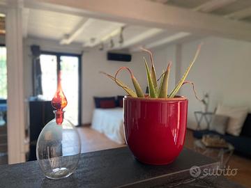 Mini porzione di villino indipendente con giardino