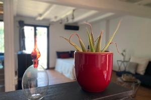 Mini porzione di villino indipendente con giardino
