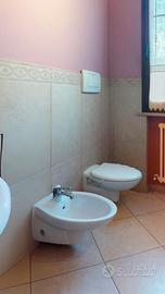 Sanitari bagno