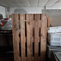 Pallet legno