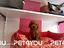 Immagine 29